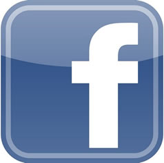 facebook logo smaller image