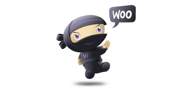 woothemes ninja logo brand image