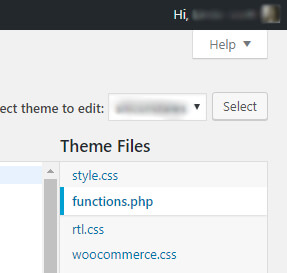 functions.php location in WordPress dashboard screenshot